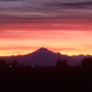 Meet your Posher, Bren